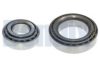 DODGE 3699678AB Wheel Bearing Kit